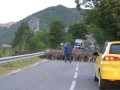 grenoble 004 * 2272 x 1704 * (1.8MB)